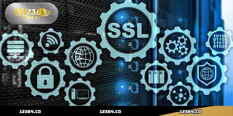 Chính Sách Bảo Mật 123B Chi Tiết Và Cập Nhật Mới Nhất